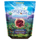 2LB Subtle Earth Organic Coffee - Medium-Dark Roast - Whole Bean Coffee - 100% Arabica Beans - Low …